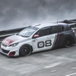 Peugeot 308 Racing Cup