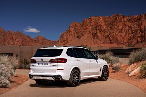 BMW X5 (20)