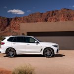 BMW X5 (21)